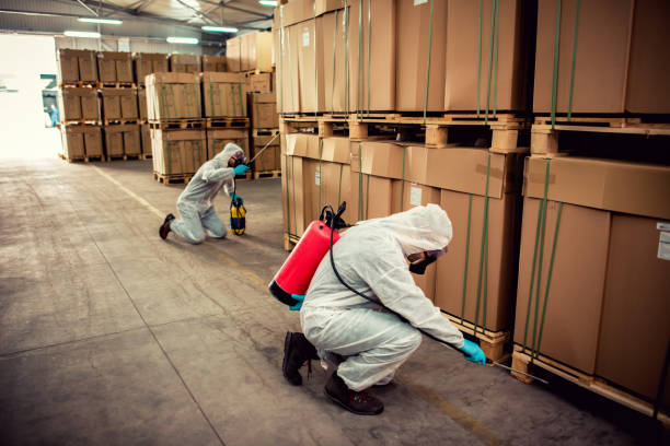 Best Affordable Pest Control Services  in Mason, TX