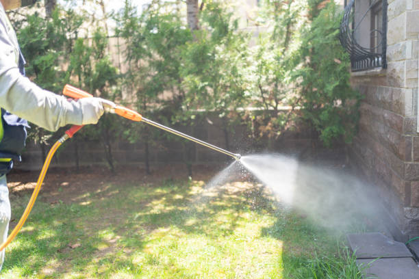 Best Pest Control for Homes  in Mason, TX