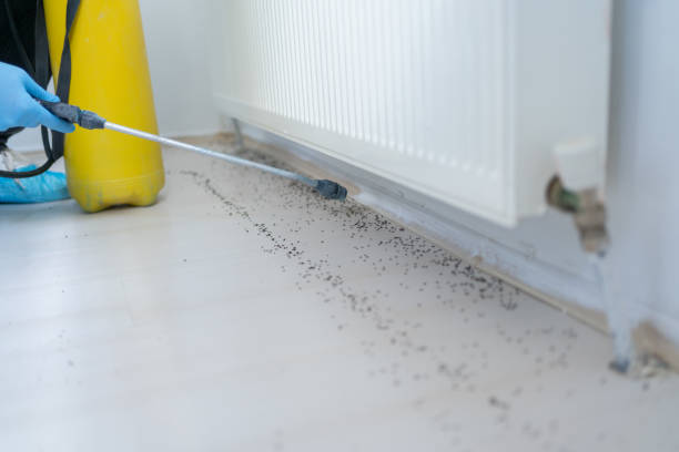 Best Best Pest Control Companies  in Mason, TX