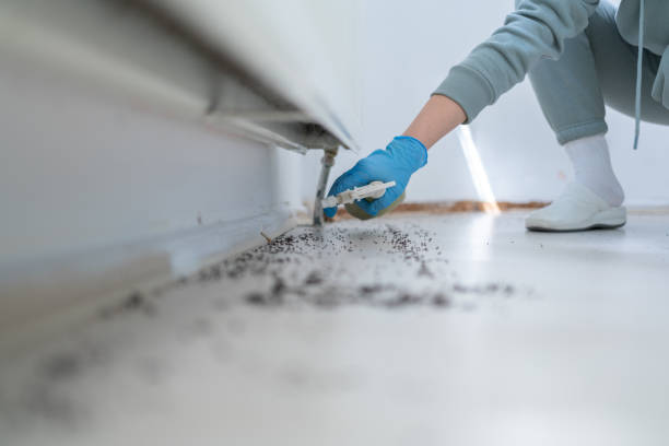 Pest Prevention Services in Mason, TX